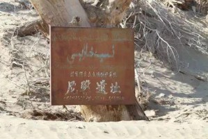 北京还有新疆村吗？探寻城市中的民族聚落变迁