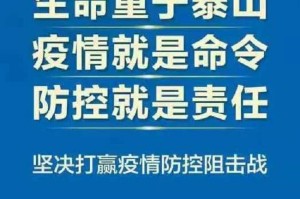 广西壮族自治区新冠疫情防控，成效、挑战与未来展望