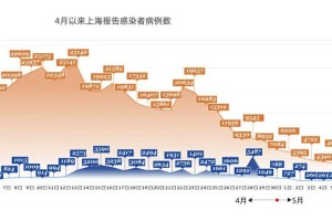 上海市病毒情况深度分析，防控措施、现状与未来挑战
