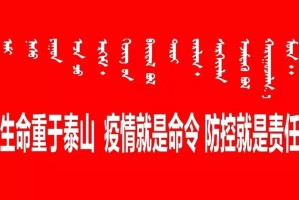 浙江省疫情防控指挥部最新公告解读，科学精准防控，守护全民健康