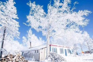哈尔滨到北京的最佳出行时间，季节、交通与旅行建议