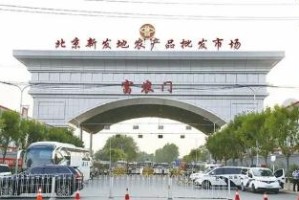 北京疫情还会持续多久？深度分析与未来展望