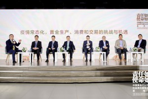 香港防疫部门的挑战与成就，抗疫之路的回顾与展望