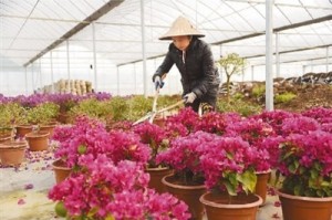 浙江省与台湾省疫情防控政策比较分析