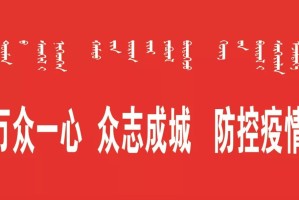 宁夏回族自治区防疫工作，筑牢健康防线，守护人民安全