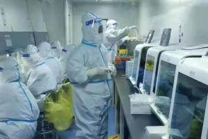 哈尔滨疫情防控，科学施策与全民共筑的抗疫长城