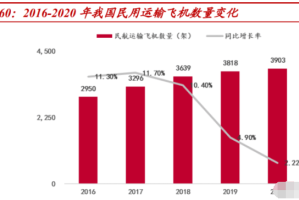 上海曾是疫区吗？深度解析疫情防控下的城市韧性与发展