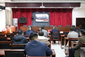 河南省疫情防控报告，成效、挑战与未来展望