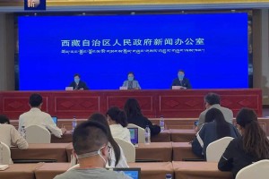 西藏自治区新冠肺炎防控政策解析与实践