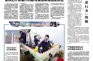 澳门台湾疫情，同舟共济下的防疫启示录