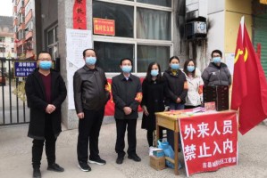 上海疫情防控工作领导小组办公室，高效协同与科学防控的城市守护者