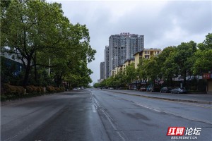 郑州疫情关门，一座城市的静默与坚韧
