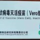 疫情下的疫苗接种，北京疫苗是否可在西宁接种？全面解析与实用指南