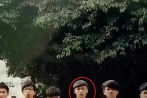 澳门疫情全面受控之际，武汉再现零星病例，常态化防控下的双城启示录