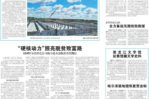 共筑防线，守护家园，重庆疫情报告与合肥最新消息