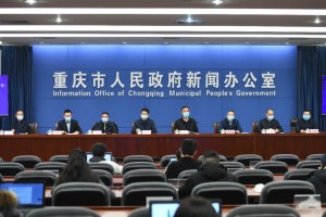 重庆疫情防控局电话，沟通关键，守护安全的桥梁