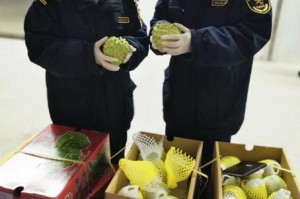 澳门疫情管控政策与台北最新消息，两地防疫措施对比分析
