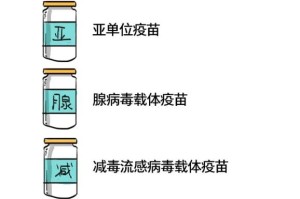 安徽疫苗与北京疫苗的区别，全面解析两种国产疫苗的特点