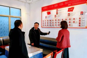 石家庄村委，基层治理的创新与实践