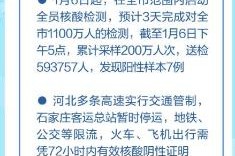 河南石家庄新冠疫情最新消息，防控措施升级与市民应对指南