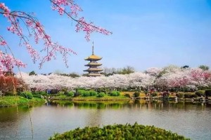 北京疫苗与武汉预约指南，疫情下的疫苗接种全攻略