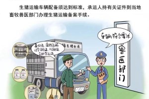 澳门最新疫情防控措施，现状、挑战与未来展望