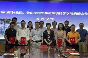 疫区合肥，一座城市的韧性密码与生命启示录