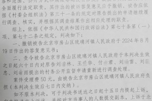 上北京怎么告村书记，法律途径与维权指南