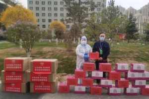 广西与西宁，疫情下的挑战与应对