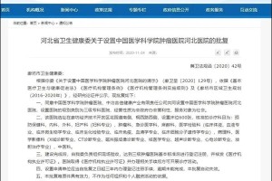 上海卫健委领导分工解析，职责明确，协同推进健康上海建设