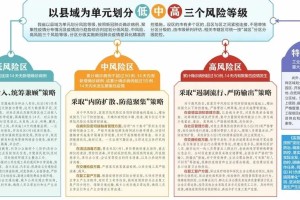 西藏自治区疫情政策与南京最新防控动态，区域差异下的防疫策略解析