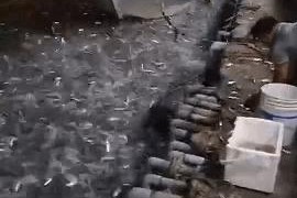 台湾地震，直播见证震撼、感动与团结