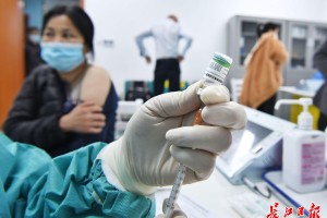 北京生产的疫苗比武汉的好吗？解析中国新冠疫苗的差异与选择