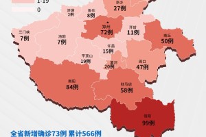 河南省郑州市病情观察，现状、挑战与应对策略