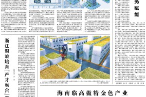 上海市疫情防控最新文件解读，科学精准施策，筑牢城市安全防线