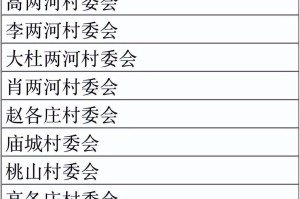 北京河南村村委会电话，便民服务的桥梁与社区治理的纽带