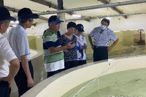 香港实时疫情动态，最新数据与防控措施分析