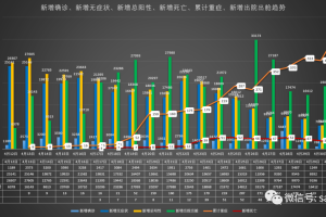上海市疫情最新数据，防控措施升级与市民生活影响分析