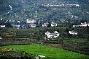 重庆龙华镇人口数量及其对社会发展的影响