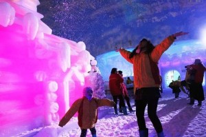 冰雕师揭秘，哈尔滨冰雪节背后的辛勤与高额日薪