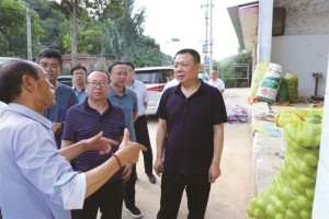 南石家庄村书记，乡村振兴的领路人