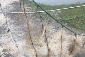 浙江省防控疫情，科学施策与全民共筑健康防线