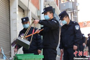 西藏自治区疫情政策查询指南，最新防控措施与便民服务解析