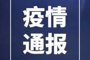 黑龙江省与贵阳市疫情最新通报，防控措施与市民应对指南