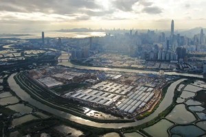 香港防控政策的演进、挑战与未来展望