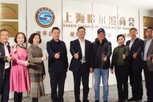 哈尔滨市政府驻上海办事处，南北合作的桥梁与城市发展的纽带