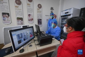 浙江省防疫措施的创新与实践，科学防控与精准施策的典范