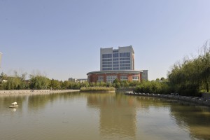 郑州师范学院教务处官网首页，学生教务服务的核心平台