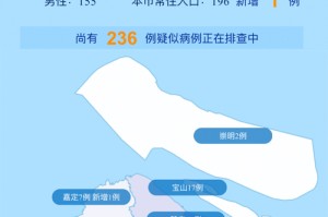 上海市疫情期间的防控规定与措施
