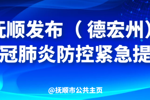黑龙江疫情外溢沈阳，防控挑战与区域协作的深度思考